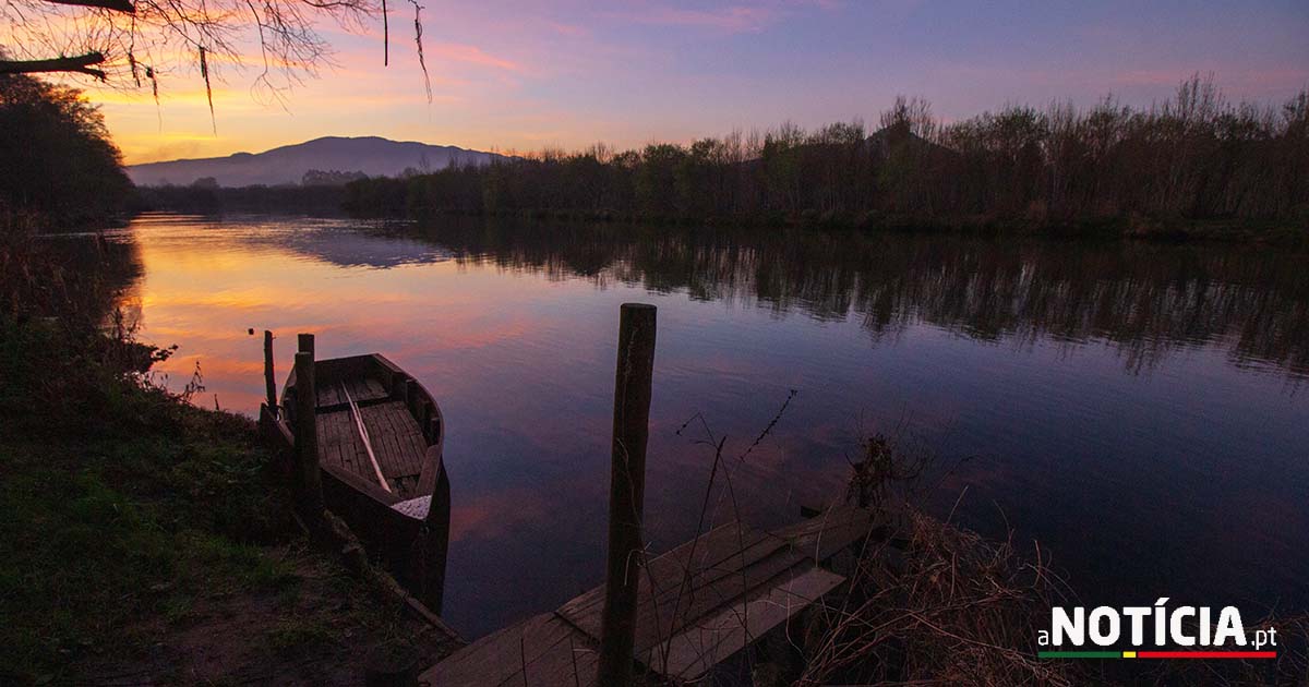 Festival Da Enguia Da Lagoa De Santo Andr Est De Regresso E Ele