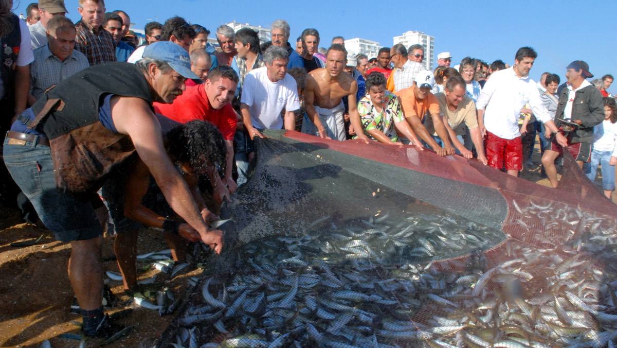 PETISCOS DO PESCADOR LEVAM TRADIÇÃO, GASTRONOMIA E MÚSICA A QUARTEIRA