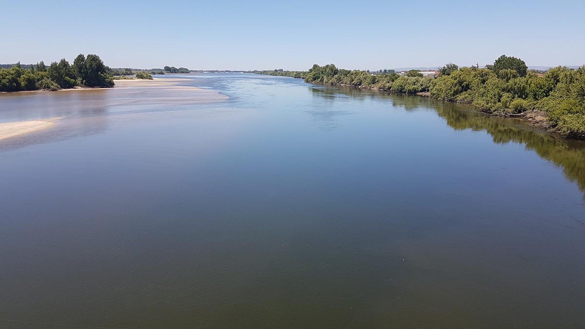 Missão Tejo é Vida: “há problemas reais que nos passam ao lado e o Tejo é um deles”