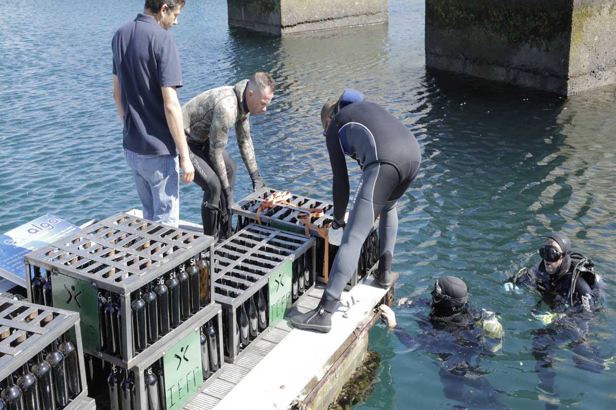 Vinhos da Costa Alentejana envelhecidos no fundo do Mar, em Sines.