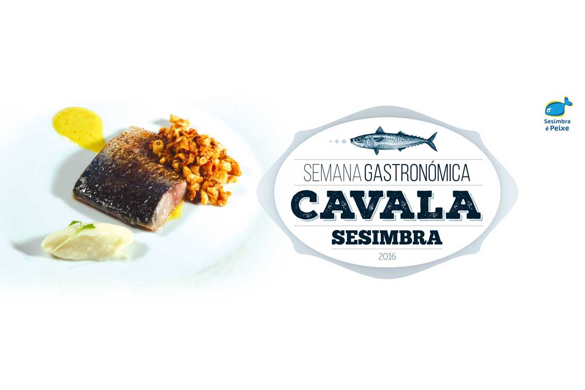 Sesimbra promove a pesca local ao realizar Semana Gastronómica.