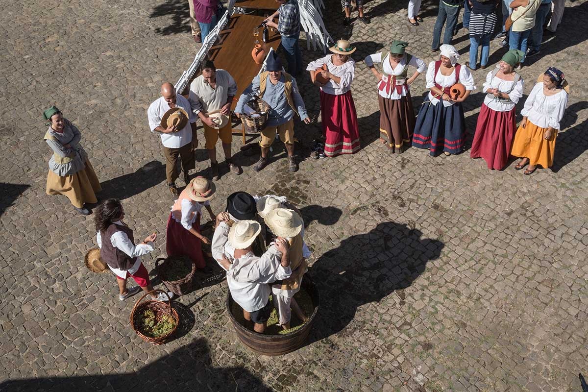 Oeiras faz vindima com recreação histórica.