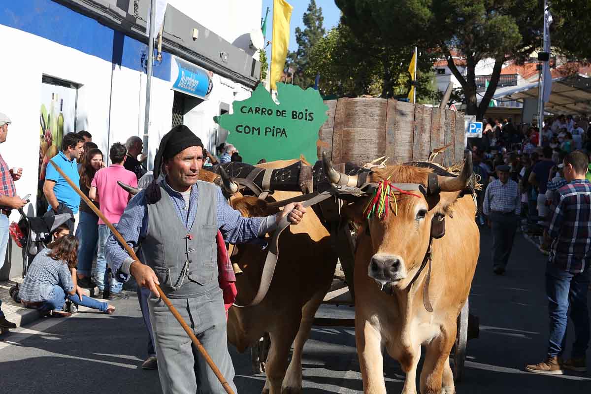 Festa do Vinho e das Vindimas em Bucelas: Desfile Etnográfico.