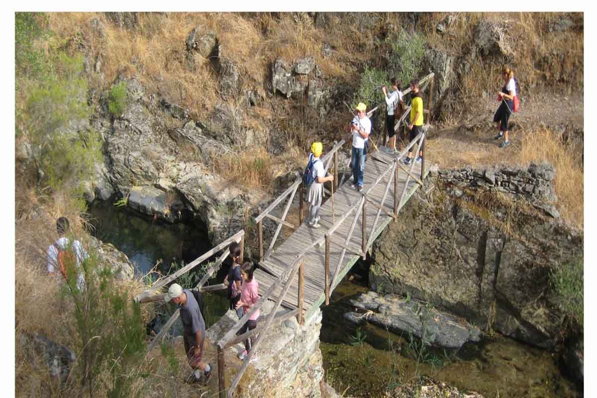 Museu de Mação – Visita guiada às gravuras rupestres do Ocreza