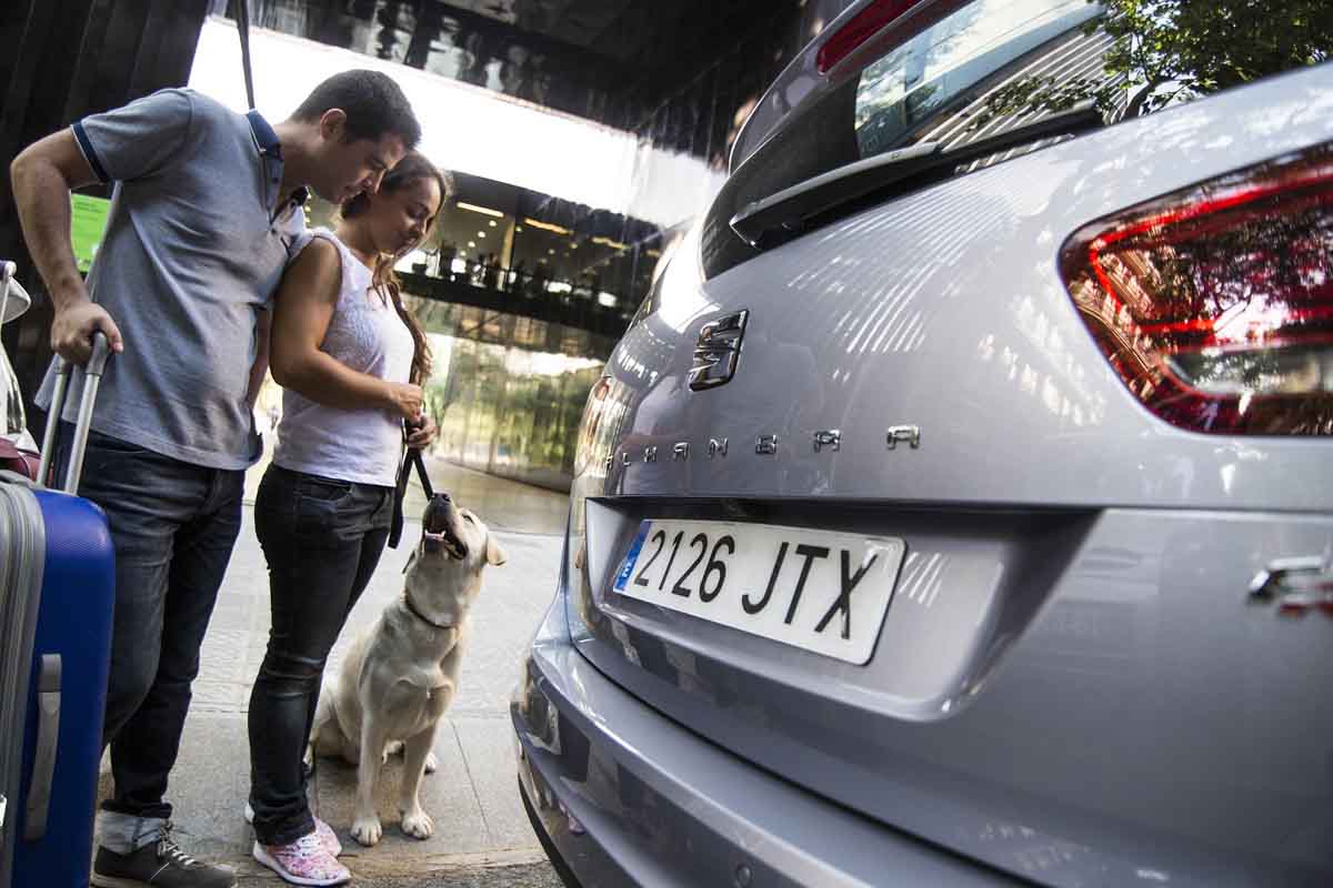 Sem o meu cão, não! – 8 dicas para viajar com animais de estimação