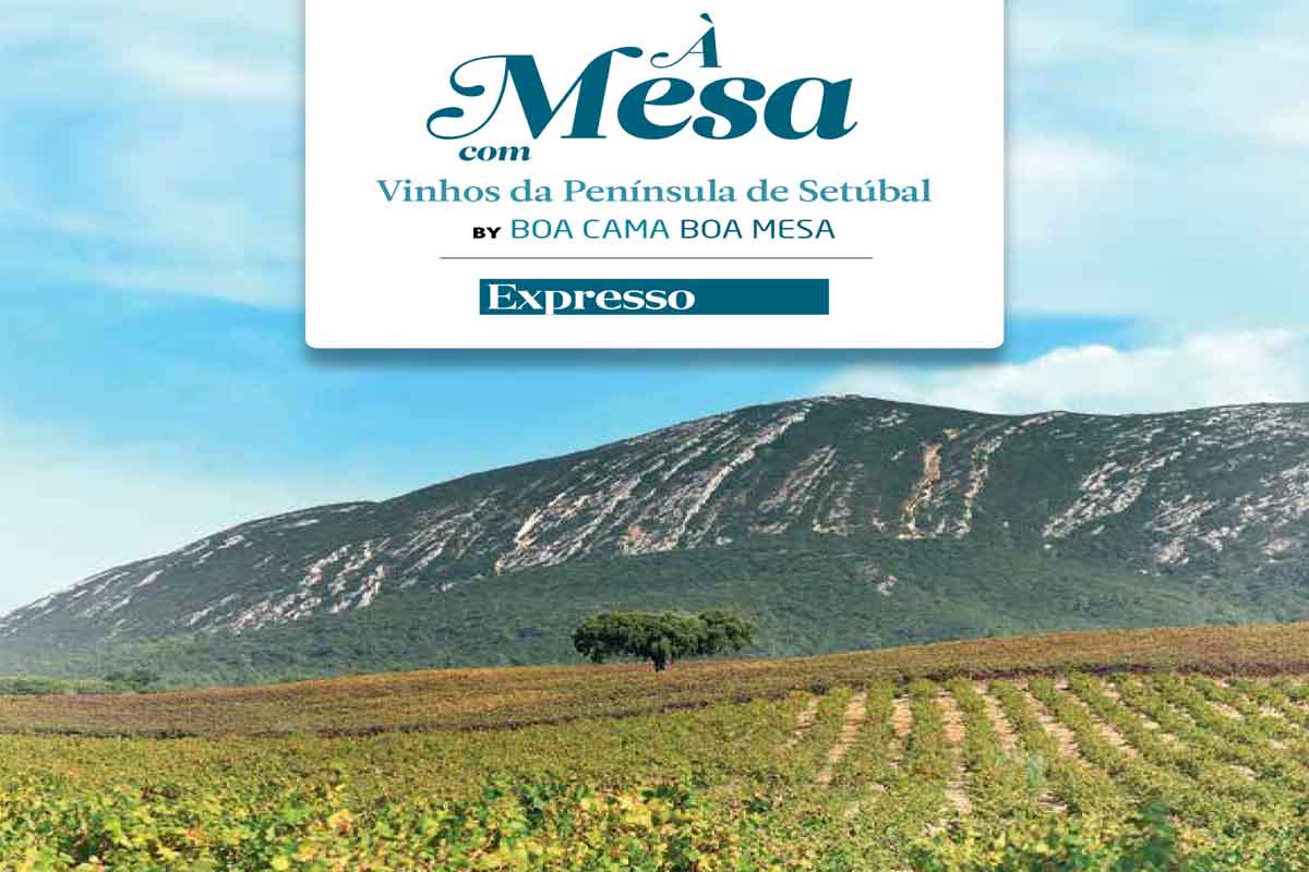 O novo guia aproxima os Vinhos da Península  de Setúbal à restauração