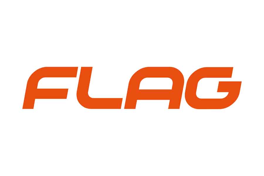 FLAG PROMOVE WEBCAST SOBRE DIGITAL COSTUMER JOURNEY MAPPING