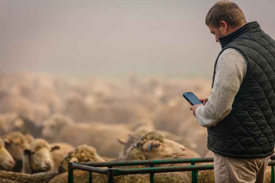 Smartphones resistentes – o seu rápido crescimento no mercado quebra a tendência de abrandamento do mercado dos smartphones.