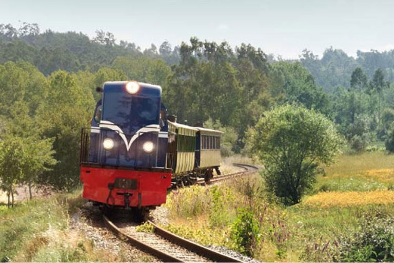 Comboio Histórico regressa ao Vouga