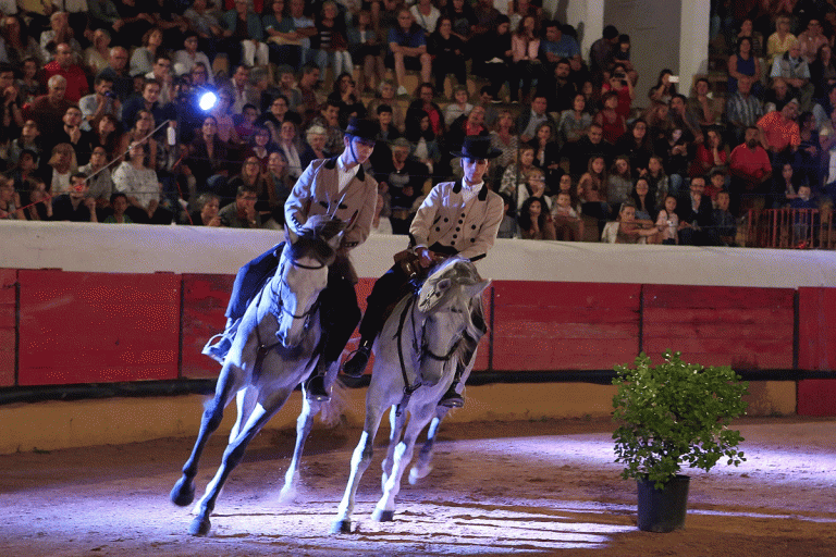 4ª Gala Equestre – evento solidário a favor da Associação de Saúde Mental do Médio Tejo