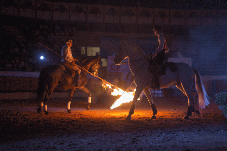 Escola Equestre Vitor Rodrigues