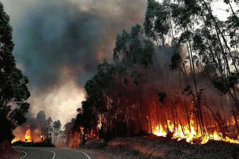 Mais “tempestades de fogo” como a registada em Pedrógão são expectáveis.