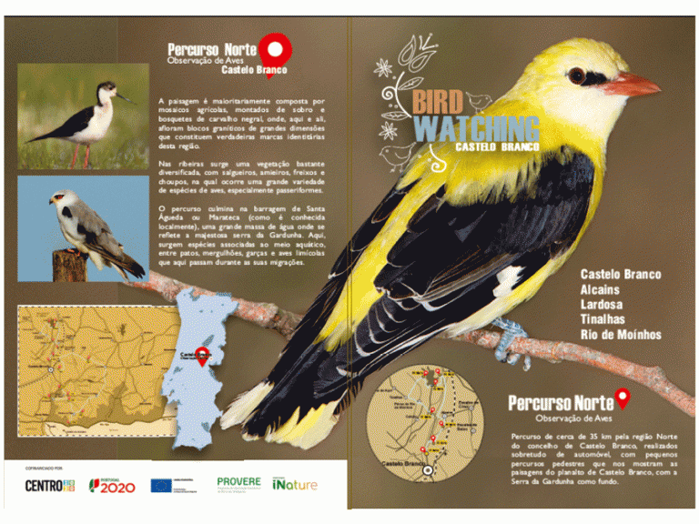 Programa “Birdwatching Castelo Branco” promove turismo de natureza