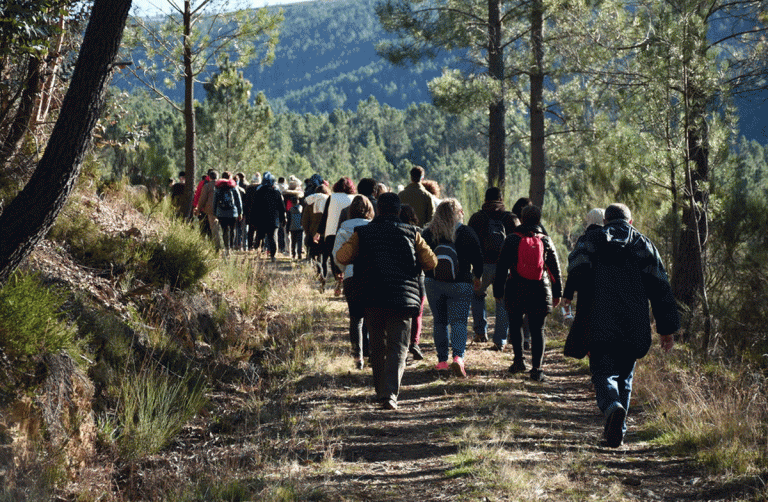 Pampilhosa da Serra