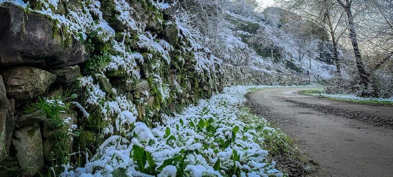 Frio intenso cria dificuldades imprevistas em Mirandela