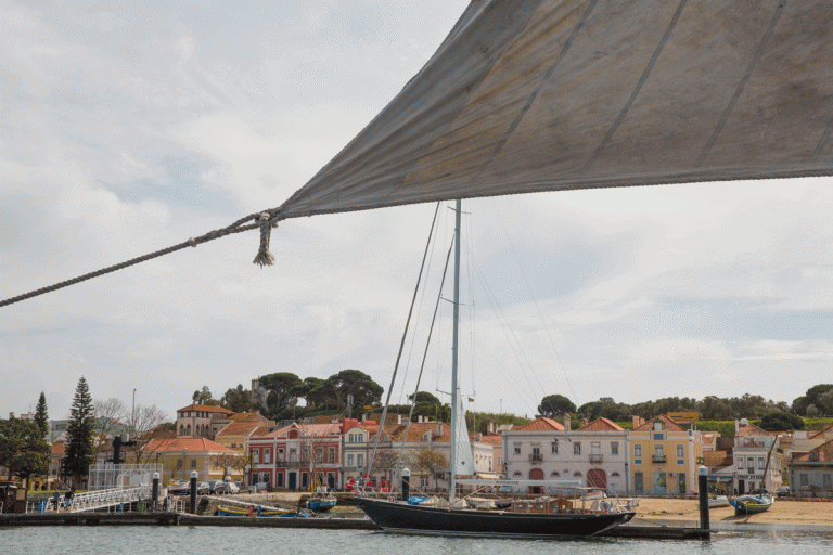 Passeios pela natureza e património do Seixal