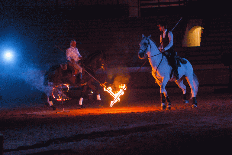 Escola Equestre Vítor Rodrigues