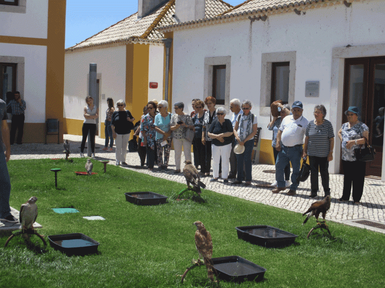 Idosos de Santiago do Cacém em Passeio de Primavera