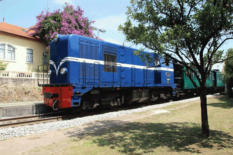 Comboio Histórico regressou à Linha do Vouga