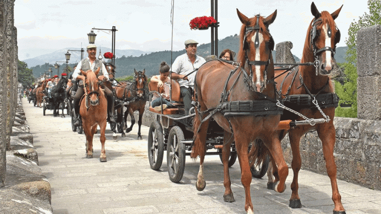 A XIII FEIRA DO CAVALO, EM PONTE DE LIMA, FOI UM ÊXITO