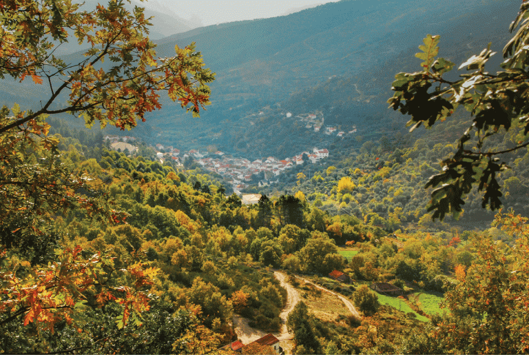 Aldeias de Montanha Recriam Magustos Comunitários em Novembro