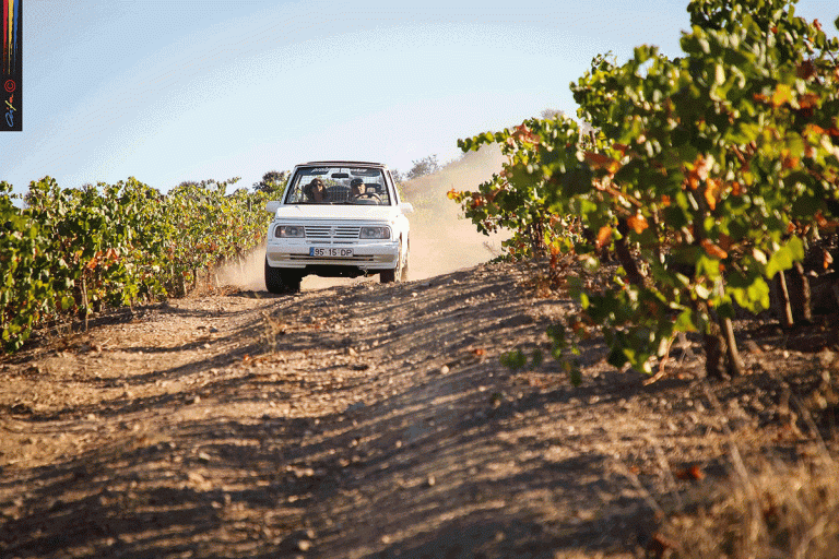 Passeio todo-o-terreno vai ligar Reguengos de Monsaraz a Mafra