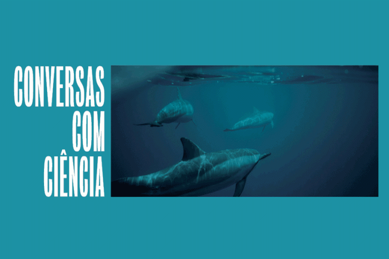 CONVERSAS COM CIÊNCIA | O MISTERIOSO SONO DOS GOLFINHOS: HISTÓRIAS DE EVOLUÇÃO DEBAIXO DE ÁGUA