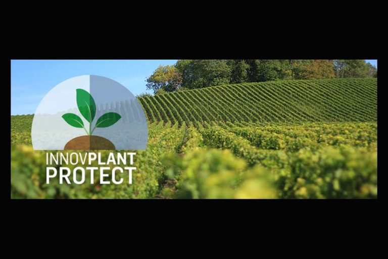 InnovPlantProtect – Um laboratório Colaborativo que promete soluções para o grande problema da agricultura