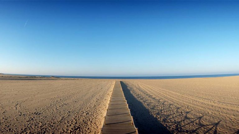 Em 2020 as praias do Centro de Portugal recebem 85 bandeiras azuis