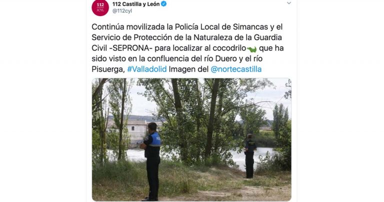 Crocodilo avistado nas águas espanholas do Rio Douro