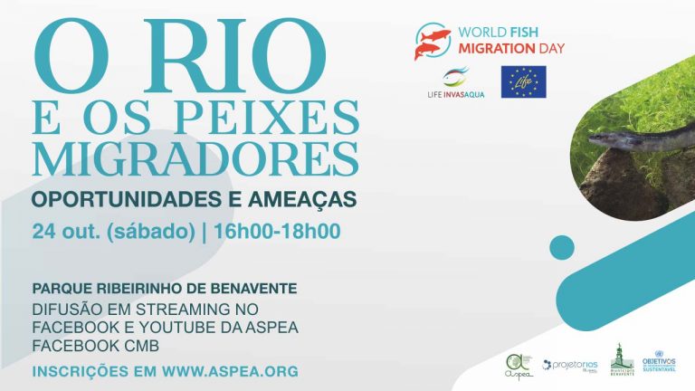 Benavente assinala o Dia Mundial dos Peixes Migradores