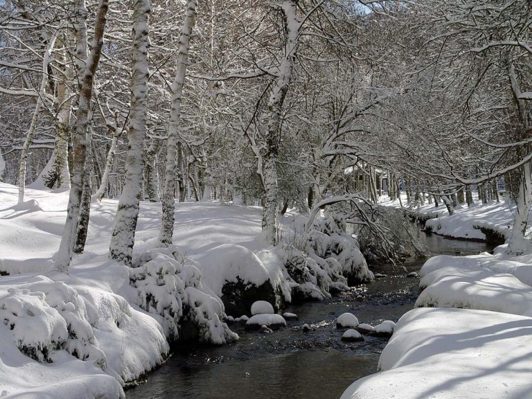 véu branco da Serra da Estrela