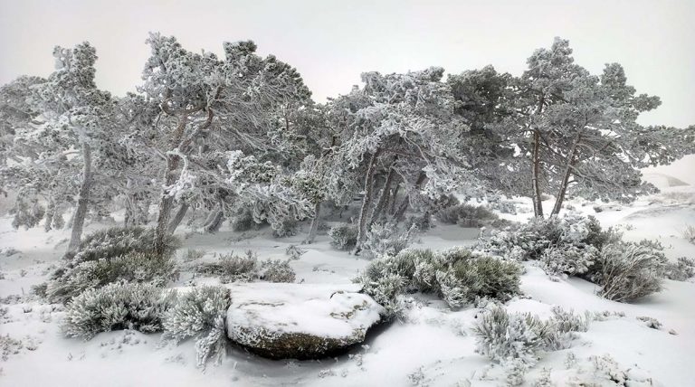 Serra da Estrela Ártica