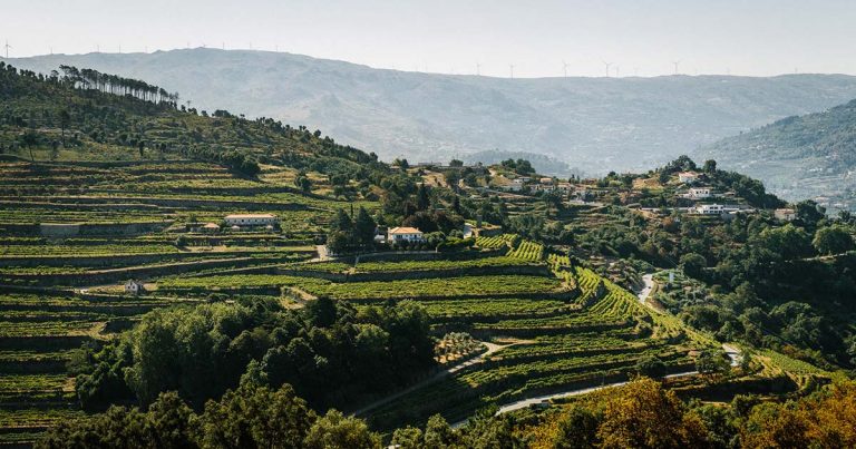 Quinta de Santa Teresa