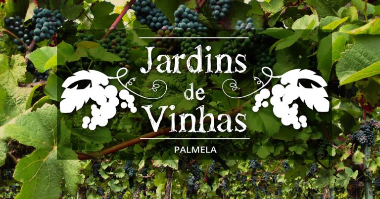 Jardim de Vinhas e Percurso Pedestre