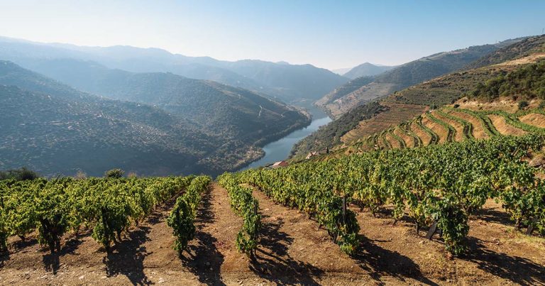 Projeto BioD’Agro de Figueira de Castelo Rodrigo vence concurso nacional