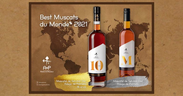 Moscatel de Setúbal da Adega de Palmela regressa ao Top 10 dos Melhores do Mundo