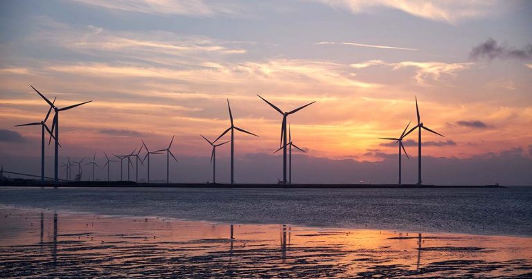 Sustentabilidade é mote da Noite Europeia dos Invetigadores no MAR Shopping Algarve