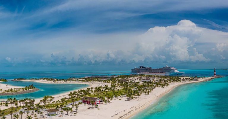 Ocean Cay MSC Marine Reserve dá as boas vindas às primeiras crias de tartarugas na ilha