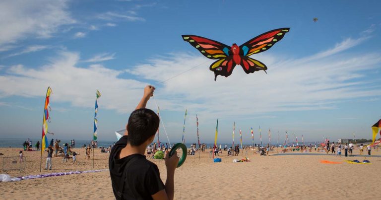 Papagaios na Praia de Carcavelos