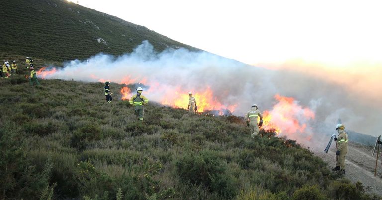 CIM Viseu Dão Lafões desenvolve ações práticas de capacitação e credenciação em fogo controlado