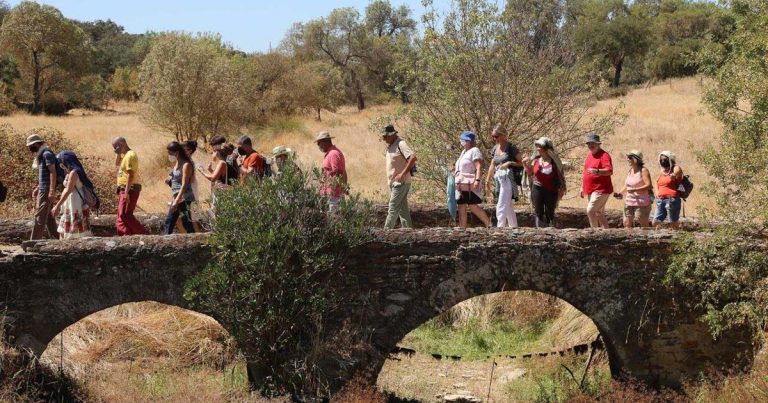 Festival de Caminhadas TransAlentejo integra percurso pedestre em Reguengos de Monsaraz