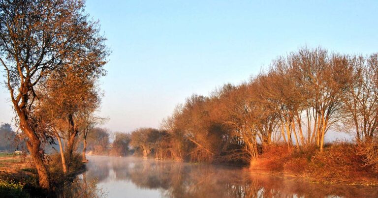 Turismo em Benavente