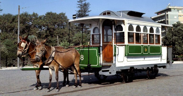 Carros Elétricos Históricos na marginal do Porto