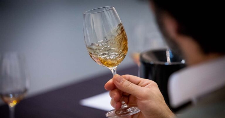 Enóphilo Wine Fest em Braga