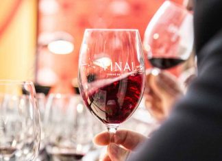 DÃO ASSUME-SE COMO TERRITÓRIO DE EXCELÊNCIA DE VINHOS NA VINAL