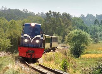 Comboio Histórico regressa ao Vouga Comboio Histórico regressa ao Vouga