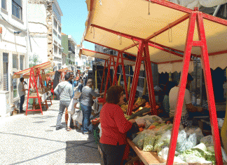 O melhor do campo volta a “visitar” a cidade em Torres Vedras… O melhor do campo volta a “visitar” a cidade em Torres Vedras