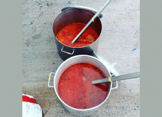 Festival Caldo de Peixe 2018 Festival Caldo de Peixe 2018