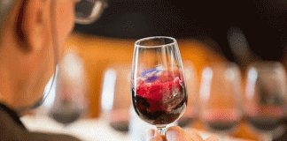 Setúbal Wine & Flavours